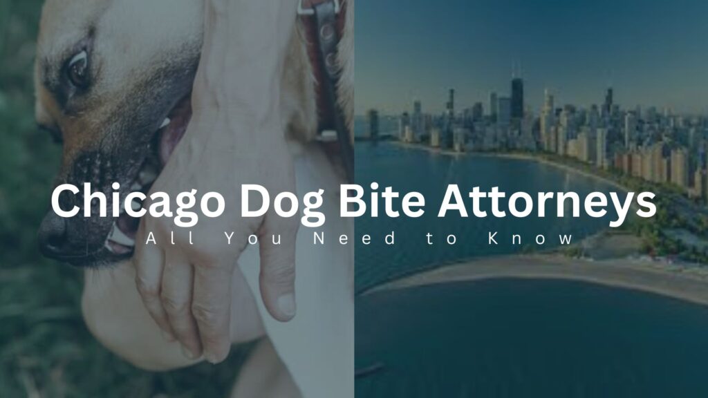 Chicago Dog Bite Attorneys