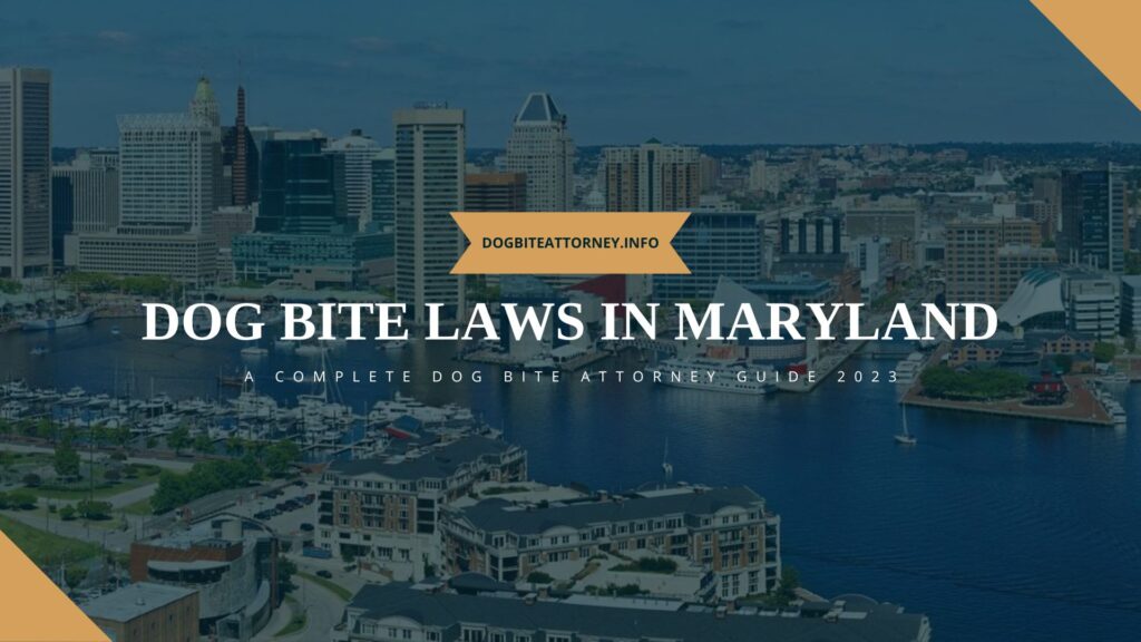 Dog Bite Laws in Maryland