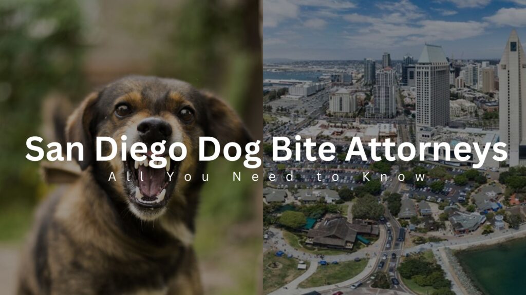 San Diego Dog Bite Attorneys